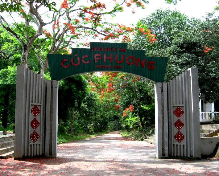 Theo đó, Vườn Quốc gia Cúc Phương tiếp nhận 115 cá thể rùa thuộc 6 loài, 1 cá thể cầy vòi mốc, 2 cá thể rồng đất và 4 cá thể tê tê Java.