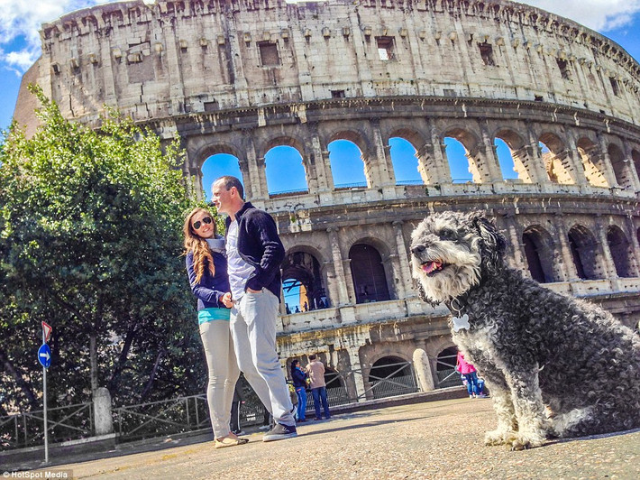 Chú chó may mắn Willie năm nay vừa tròn 6 tuổi, là chú chó thuộc giống Schnauzer-poodle, trải qua những biến cố không mong muốn trong quá khứ, giờ đây hành trình phiêu lưu qua 12 đất nước trên khắp thế giới của Willie đã trở nên nổi tiếng, truyền cảm hứng cho nhiều người.