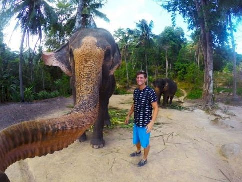 Đã có vòi, cô voi này không thèm dùng gậy tự sướng mà vẫn có những bức ảnh tầm cao vô cùng xinh đẹp.