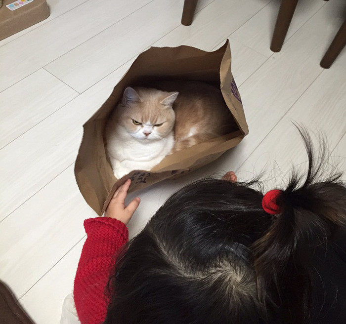 Khuôn mặt cau có của Koyuki không hề khiến mọi người chán ghét mà trái lại càng yêu thương cô nàng hơn.