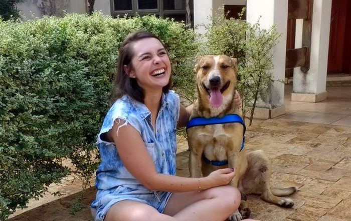 Ngày hôm đó, cặp đôi đã quyết định rằng sẽ nhận nuôi chú chó này. Tuy nhiên, khi tiệc cưới sắp kết thúc, chú chó lặng lẽ biến mất mà không ai biết.