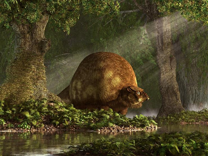 Theo tìm hiểu, Glyptodon là một loài Thú có mai trong họ Glyptodontidae, có họ hàng với con tatu và đã sống trong suốt Thế Pleistocen. Nó có kích thước và trọng lượng nặng tương đương một chiếc xe Volkswagen Bentley. (Nguồn Boredomtherapy)