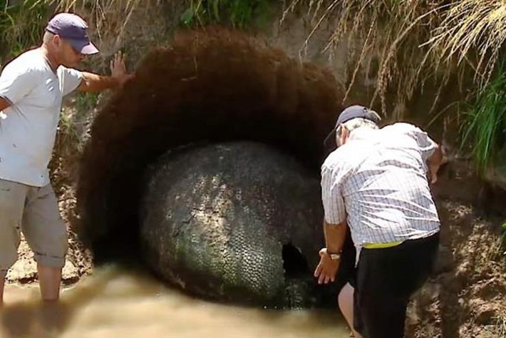 Tiếp đó, khi Jose và gia đình anh lan truyền những thông tin về vật thể lạ khổng lồ này, những tin đồn về nguồn gốc và bản chất của nó liên tục xuất hiện. Có giả thuyết cho rằng đây là trứng của người ngoài hành tinh hoặc là một vật thể nào đó trên con tàu của người ngoài hành tinh bị bỏ lại, sau khi họ thám hiểm Trái đất. (Nguồn Boredomtherapy)
