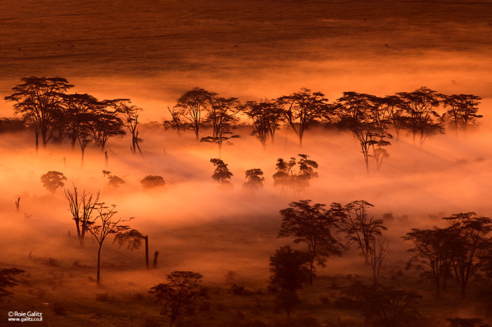 Hoàng hôn đẹp như cổ tích ở Tanzania.