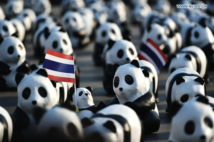 Ảnh chụp binh đoàn gấu trúc giấy bồi tại quảng trường Sanam Luang ở Bangkok, Thái Lan. (Nguồn NewsCn)