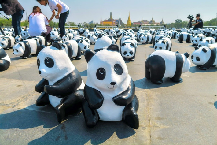 Rất nhiều người đã tranh thủ đến nơi binh đoàn gấu trúc giấy bồi đổ bộ để chụp ảnh. (Nguồn 2bath)
