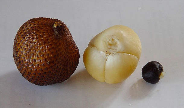 Quả da rắn hay quả Salak, đây là loại quả có vỏ ngoài kết vảy như những vảy rắn, thường mọc ở gốc cây. Có nguồn gốc ở Indonesia, cây Salak có thân ngắn, lá dài khoảng 6m, mỗi lá có cuống dài 2m, gai dài 15cm. Nhân quả Salak có vị ngọt và có tính acid.