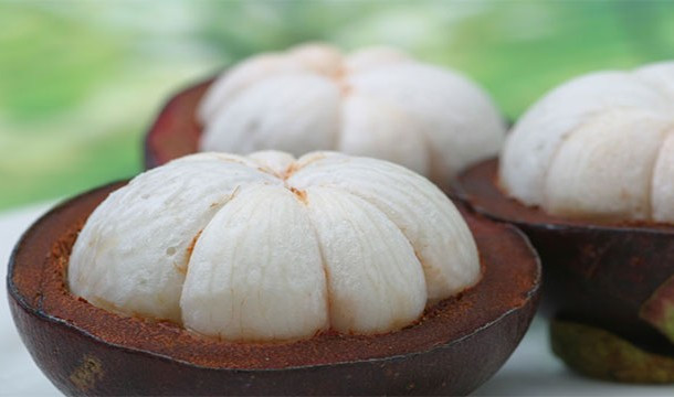 Quả măng cụt, tên khoa học là Garcinia mangostana, có vỏ màu tím đỏ nâu, dày dặn, thịt quả mọng nước, có vị ngọt, chua mát và thơm, được rất nhiều người yêu thích. Được trồng ở Đông Nam Á cách đây cả ngàn năm, măng cụt đã chứng minh được giá trị của mình.