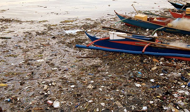 13. Cá sống trong những môi trường bị ô nhiễm nặng sẽ mất đi khứu giác. (Theo L25)