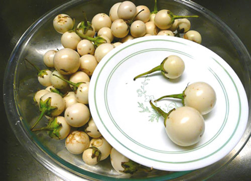 Theo y học hiện đại cà là loại rau quả có chứa hàm lượng vitamin E, P cao, protein, canxi, sắt, phốt pho, ma giê,… đặc biệt chứa chất Nightshade soda - một chất có tác dụng chống ung thư, ức chế tăng sinh khối u trong bộ máy tiêu hóa.