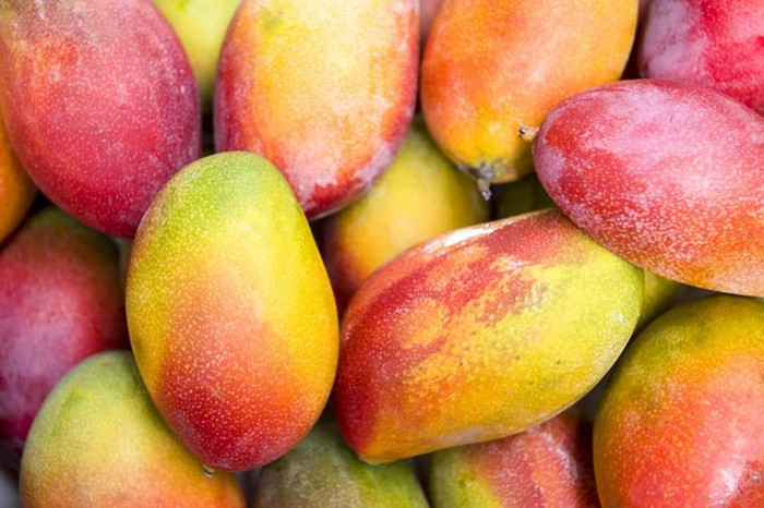 Xoài có chứa hàm lượng cao beta-caroten mà cơ thể có thể chuyển hóa thành vitamin A, thúc đẩy sự phát triển của xương và tăng cường miễn dịch.