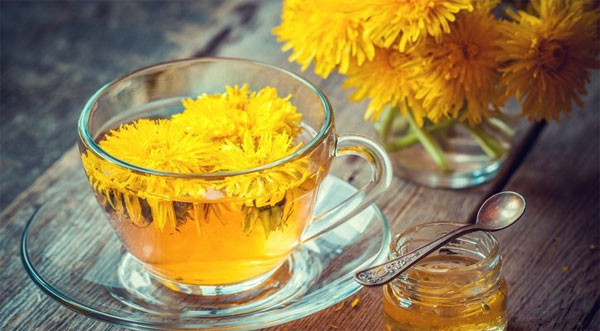 Trà bồ công anh chứa chất chống oxy hóa gọi là flavonoids, lọc sạch thận, làm sạch máu và làm tăng lưu lượng nước tiểu.