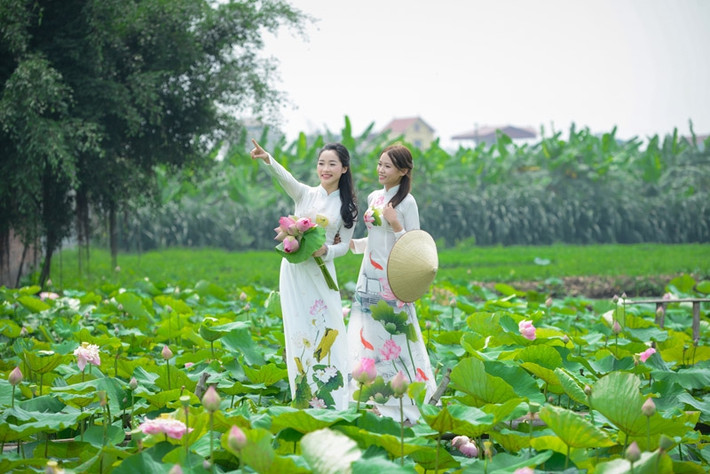 Nét duyên dáng, dịu dàng khi khoác lên tấm áo dài của người con gái kết hợp với loài hoa thanh tao của sen càng trở nên tôn quý hơn.
