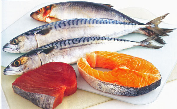 Cá béo như cá mòi, cá thu, cá trích hay cá hồi. Theo Alain Tuấn Qui thì trong cá béo giàu omega 3 và phospho giúp bảo vệ hệ thống thần kinh trung ương, điều này cần thiết khi cai thuốc lá.