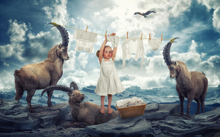 Qua bàn tay, khối óc của John Wilhelm, những dã thú cực hiếm gặp trong tự nhiên xuất hiện một cách rất gần gũi, thân mật, sinh hoạt cùng với những thành viên của gia đình như thú cưng.