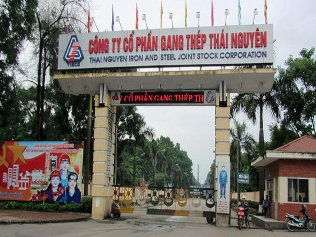 Cáo trạng cáo buộc, với chức trách, nhiệm vụ, quyền hạn được giao, bị can Trần Trọng Mừng, bị can Mai Văn Tinh đã không xem xét, chỉ đạo dừng, chấm dứt hợp đồng, thu hồi tiền tạm ứng, tổ chức đấu thầu lại... mà chỉ đạo thực hiện các hành vi vi phạm pháp luật về đầu tư, vi phạm hợp đồng EPC số 1.