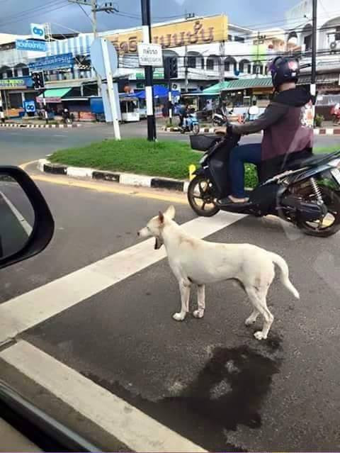 Khoảnh chắc trùng hợp đáng suy ngẫm.