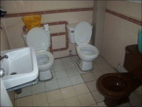 "Bữa tiệc" trong toilet chăng?