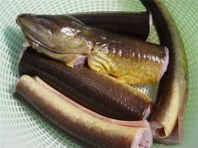 Ăn thịt lươn không chín kĩ sẽ khiến bạn có nguy cơ bị nhiễm ký sinh trùng, nhiễm sán do lươn sống ở môi trường bùn lầy không sạch sẽ. Ảnh:Vaobep.