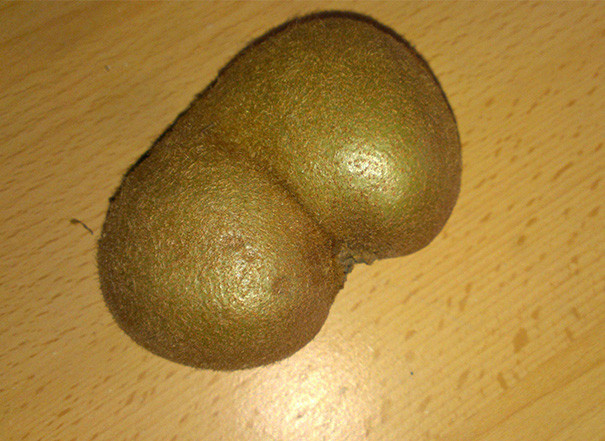 Kiwi sinh đôi hiếm gặp.
