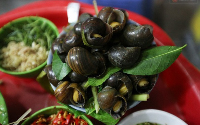 Người ta thường nói ăn ốc lạnh bụng vì ốc có tính hàn rất cao thế nên không phù hợp cho những người có thể trạng yếu hoặc thường xuyên gặp các vấn đề về tiêu hóa. Ảnh: Afamily.