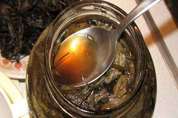 Các mẹ tìm mọi cách lùng sục các loại lá cây được cho là có khả năng cai thuốc lá như mã đề để làm trà cho chồng uống. Ảnh: Youtube.
