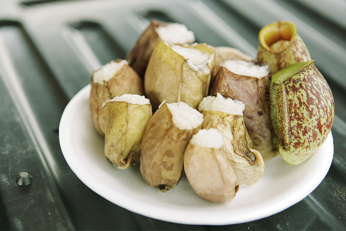 Món ăn độc đáo này được chế biến khá cầu kỳ. Đầu tiên các đầu bếp phải lấy phần bầu của cây nắp ấp làm sạch sau đó nhồi gạo đã trộn nước cốt dừa vào rồi cho vào nồi hấp chín trong khoảng 1 giờ.