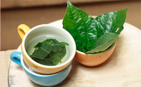 Bài thuốc nam điều trị viêm ngứa vùng kín bằng lá lốt gồm những thành phần sau: Lá lốt tươi: 50g, phèn chua, nghệ tươi. Ảnh: Songkhoe.