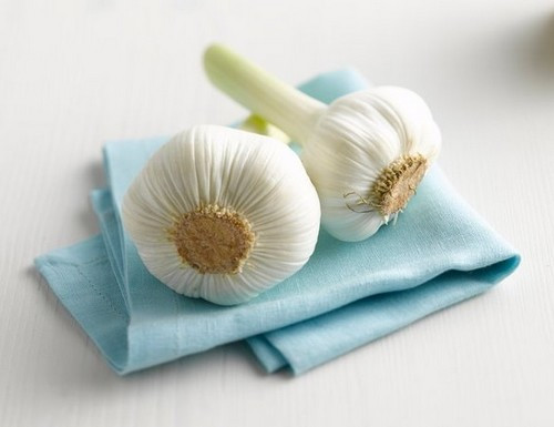 Tuy nhiên, nếu vì thế mà bạn không bao giờ ăn tỏi thì quả là một sai lầm. Bởi vì tỏi là một trong những thực phẩm được xem là vị thuốc tự nhiên trị bách bệnh, đặc biệt là trị bệnh phụ khoa. Ảnh: Sức khỏe gia đình.