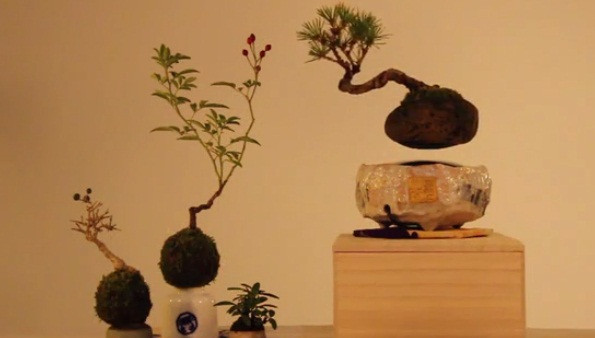Để làm tăng thêm sự thanh nhã cho sản phẩm, nhóm thiết kế đã quyết định làm phần đế cùng chậu cây theo phương pháp làm sứ thủ công Nhật Bản.