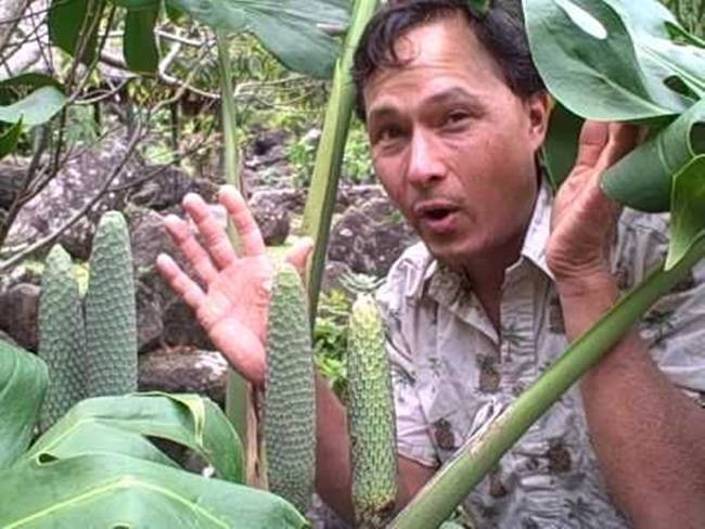 Ngoài ăn trực tiếp, các đầu bếp cũng dùng quả này vào các món kem hoặc các cốc trái cây tươi mát.
