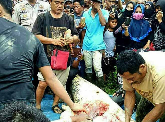 Nạn nhân là một công nhân đồn điền dầu cọ tên Andi Aso Erang, 36 tuổi.