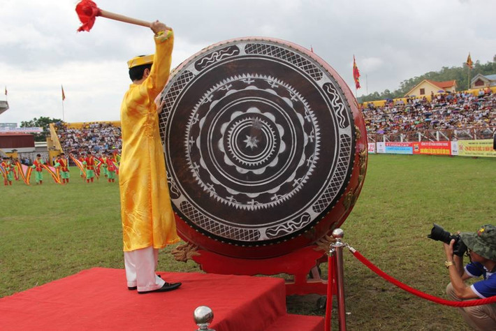 Để lễ hội chọi trâu ngày càng hấp dẫn, những ông trâu khỏe mạnh đã được lựa chọn ở khắp các tỉnh thành trên cả nước. Sau đó, được các chủ trâu huấn luyện thành những ông trâu chiến thành thục, dũng mãnh.