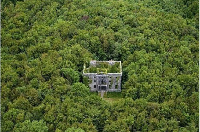 Biệt thự bỏ hoang nằm đơn độc giữa cánh rừng rậm ở Ireland.