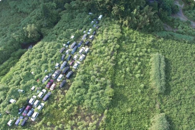 Hàng loạt ô tô bị thảm thực vật xâm lấn sau thảm họa Fukushima ở Nhật.