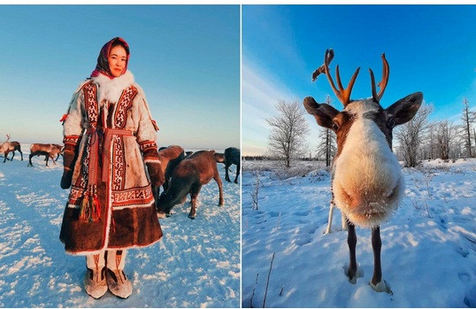 3. Người Nenets: Những người du mục chính ở Bắc Cực của Nga là người Nenets, sống chủ yếu ở Yamal. Những người thuộc bộ tộc này chăn nuôi tuần lộc và còn viết blog trên mạng xã hội về cuộc sống du mục của họ.