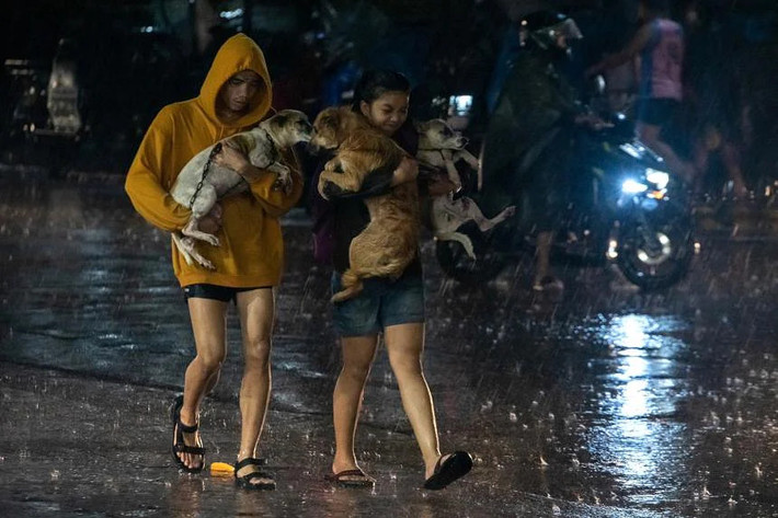 Cùng ngày, hai chuyến bay quốc tế và 39 chuyến bay nội địa đã bị hủy do thời tiết xấu mà bão Noru gây ra. Các chuyến phà, xe buýt phải tạm dừng do mưa lớn.