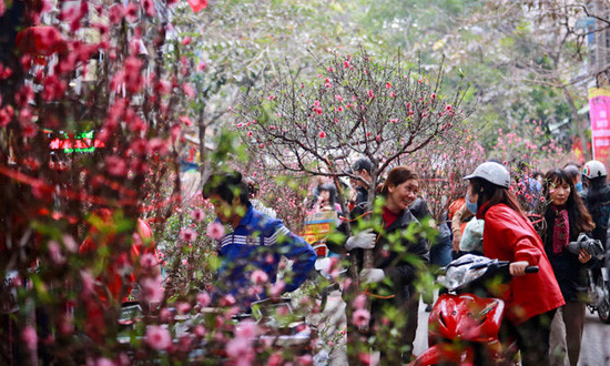 Chợ hoa tết nay.