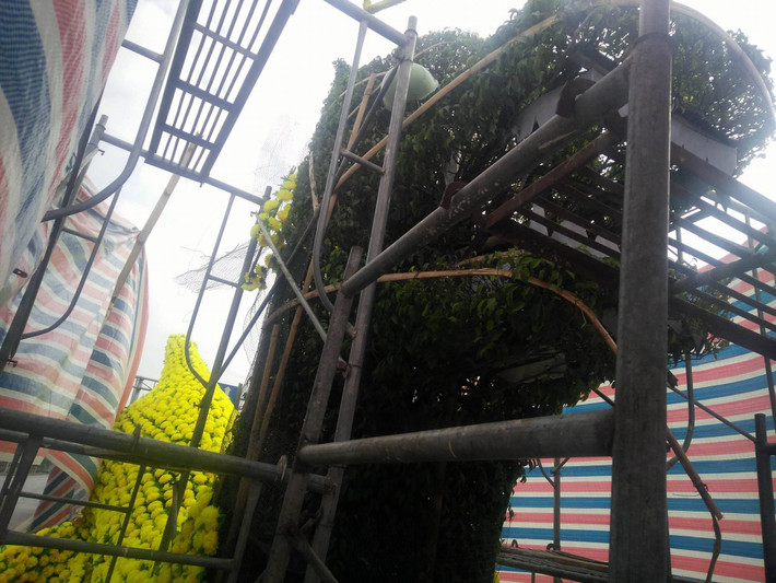 Liên quan đến việc Công ty TNHH Một thành viên Công viên cây xanh Hải Phòng gắn hoa nhựa lên cây xanh hình rồng đang được dư luận và báo chí quan tâm, UBND thành phố Hải Phòng vừa có văn bản yêu cầu Sở Xây dựng khẩn trương kiểm tra cụ thể việc trang trí nêu trên; trong trường hợp không đảm bảo yêu cầu về kỹ thuật, mỹ thuật phải chỉ đạo ngay Công ty TNHH Một thành viên Công viên cây xanh Hải Phòng khẩn trương tháo dỡ, khôi phục lại hiện trạng ban đầu.