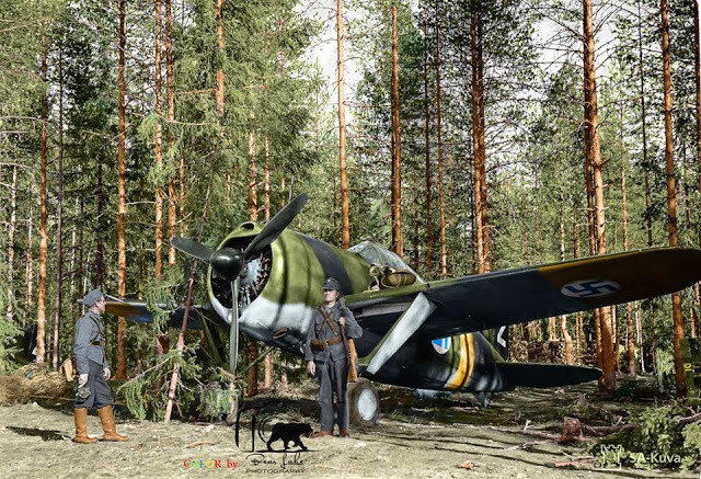 Máy bay chiến đấu Brewster Buffalo 239 của Phần Lan tại một cánh rừng ở Selänpää ngày 24/6/1941.