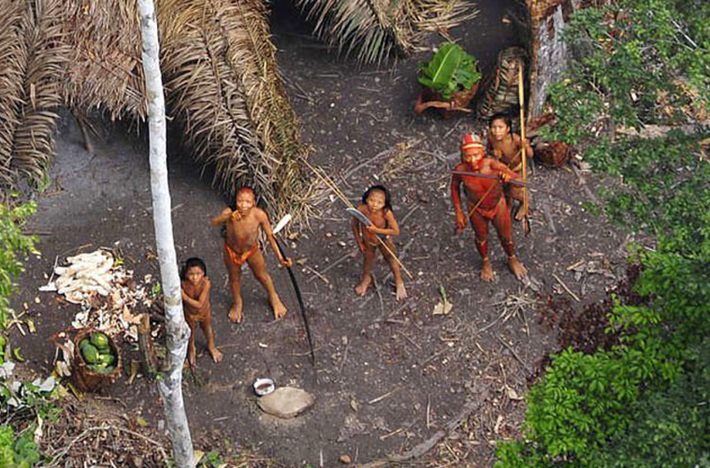 Các thành viên bộ tộc Sentinelese chủ yếu sinh sống nhờ việc đánh cá, săn bắn và hái lượm cây hoang dã.