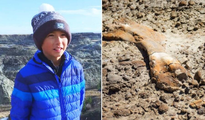 Khi đi bộ đường dài cùng bố qua hẻm núi Horseshoe ở vùng Badlands, phía đông nam tỉnh Alberta, Canada, cậu bé Nathan Hrushkin, 12 tuổi, tình cờ nhìn thấy một mảnh xương lớn nhô ra khỏi mặt đất. Cậu bé không thể ngờ đó chính là hóa thạch khủng long.