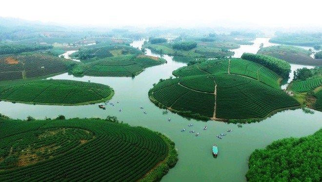 Theo sách giáo khoa môn Địa lý lớp 12, với diện tích 16.490 km2, Nghệ An có diện tích lớn nhất trong số 63 tỉnh, thành nước ta. Trong lịch sử, Nghệ An từng 2 lần được chọn làm kinh đô nước Việt dưới thời vua Mai Hắc Đế và Quang Trung - Nguyễn Huệ.
