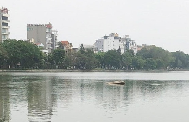 Lãnh đạo UBND phường Quang Trung (TP Hải Dương) cho biết, vụ tai nạn khi bé gái tử vong do đuối nước xảy ra lúc 10h30 sáng 16/4 tại hồ Bạch Đằng (phường Quang Trung, TP Hải Dương).