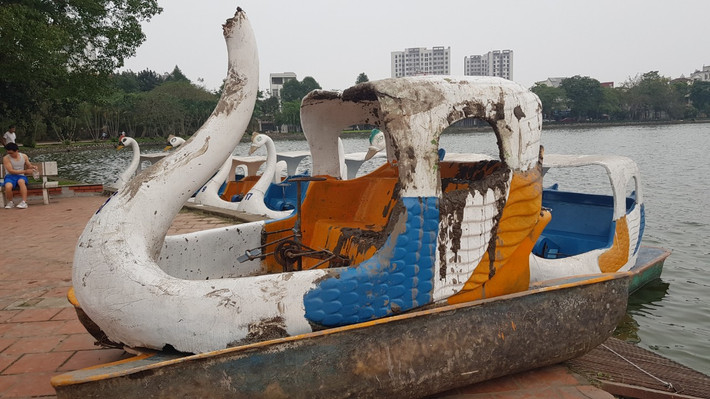 Hiện chính quyền địa phương đang phối hợp với Công an thành phố Hải Dương để xác minh làm rõ nguyên nhân.
