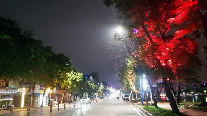 Hoạt động trải nghiệm, trò chơi dân gian, điểm đọc sách được bố trí tại phân khu quy. Ở phân khu phụng sẽ phố trí 1 điểm nghệ thuật phục vụ nhân dân.