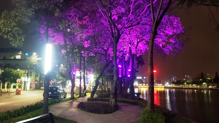 Tạo nên không gian rực rỡ sắc màu.