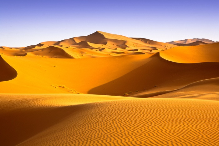 Bàu Trắng - Sahara thu nhỏ trong lòng Bình Thuận là một hồ nước ngọt lớn được bao quanh bởi những triền cát trắng rộng mênh mông như một ốc đảo xinh đẹp giữa lòng sa mạc rộng lớn. Ảnh: apdesign ShutterStock.