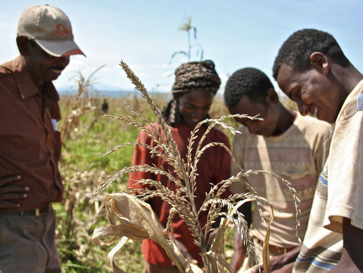 1. Ethiopia: Nền kinh tế tăng trưởng nhanh nhất thế giới này chủ yếu dựa vào nông nghiệp, nhưng chính phủ nước này đã thực hiện đa dạng hóa sản xuất trong cả ngành dệt may và sản xuất năng lượng. Dù mức tăng trưởng GDP được dự đoán tăng trưởng cao nhưng thu nhập bình quân đầu người của Ethiopia vẫn thuộc top thấp nhất thế giới.