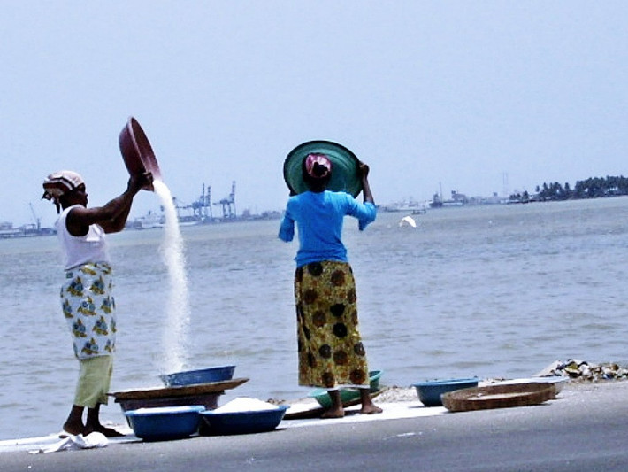6. Cote d'Ivoire (Bờ Biển Ngà): Khoảng 2/3 dân số nước này vẫn làm việc trong ngành nông nghiệp và các ngành có liên quan. Bờ Biển Ngà là đất nước sản xuất và xuất khẩu hạt ca cao lớn nhất thế giới, đồng thời cũng nằm trong top đầu thế giới trong ngành công nghiệp cà phê và dầu cọ.
